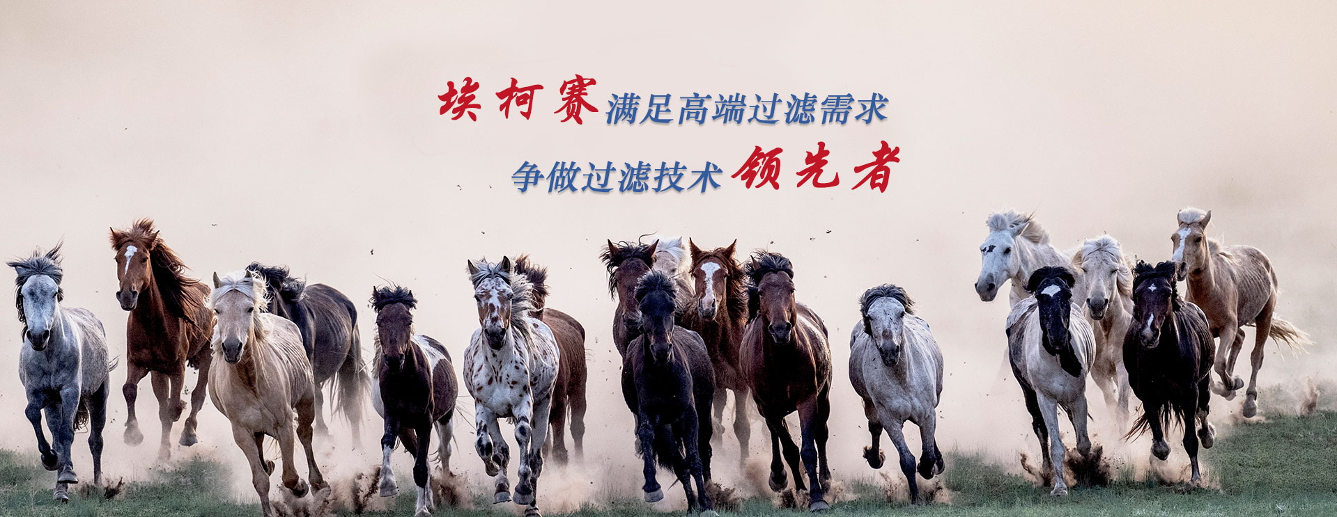 banner圖片